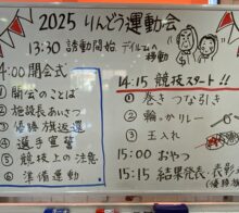 🧑‍🦯‍➡️りんどう運動会👨‍🦽