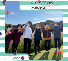 🌺コスモス3日目