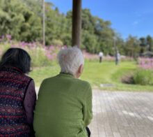 🌼コスモス日和🌼