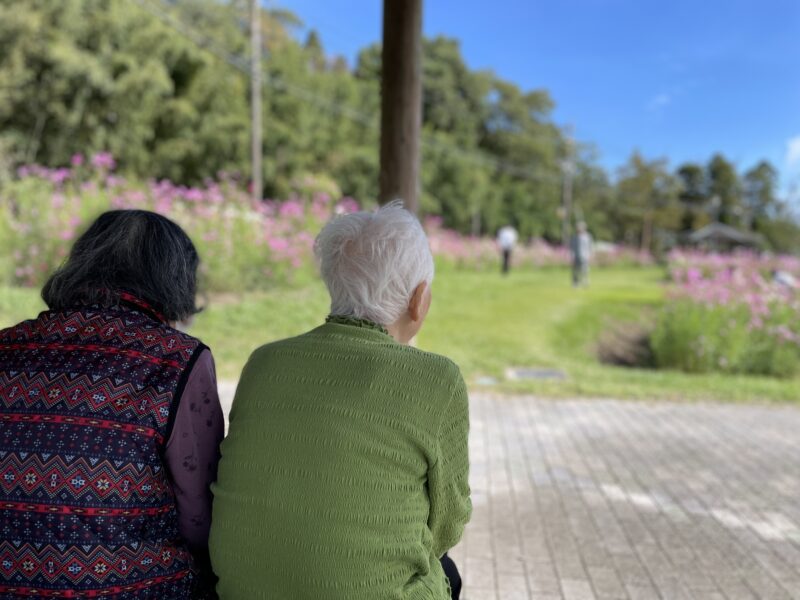 🌼コスモス日和🌼