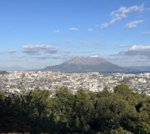 🐴初詣2026りんどう🎍