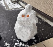 雪だー☃️